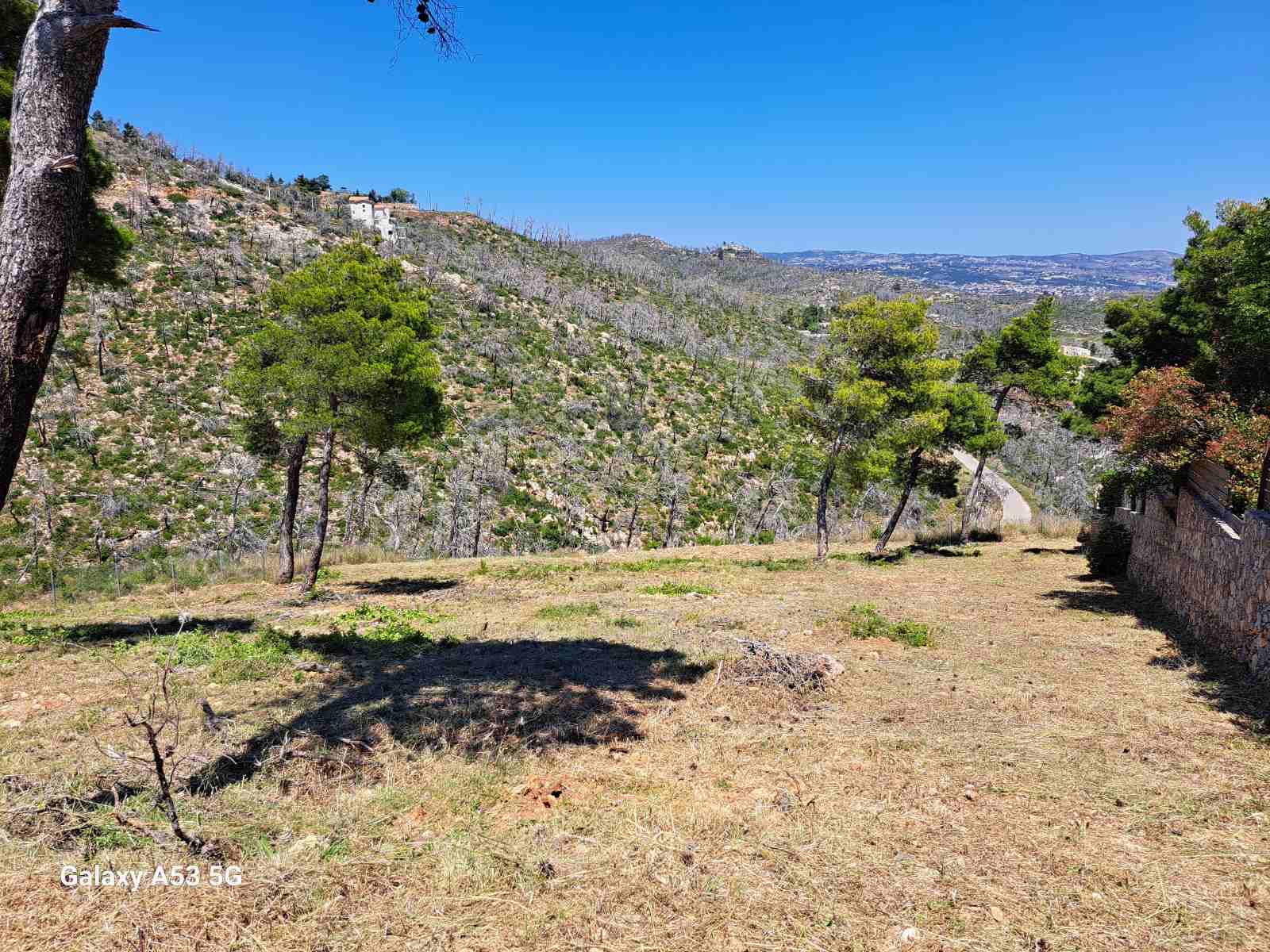 Πριν τον καθαρισμό