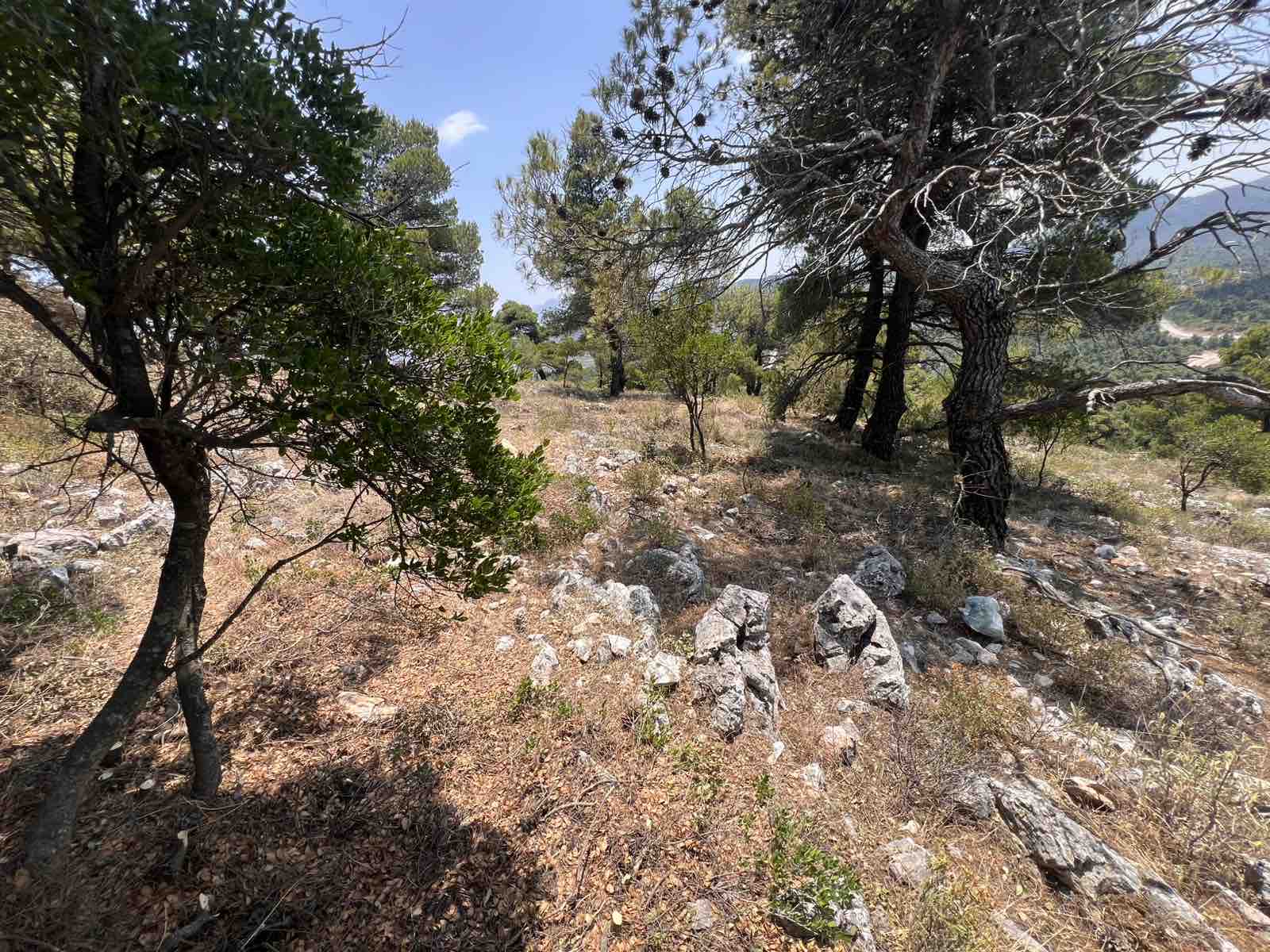 Πριν τον καθαρισμό