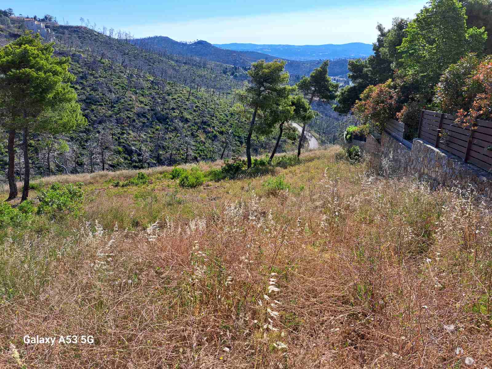 Πριν τον καθαρισμό