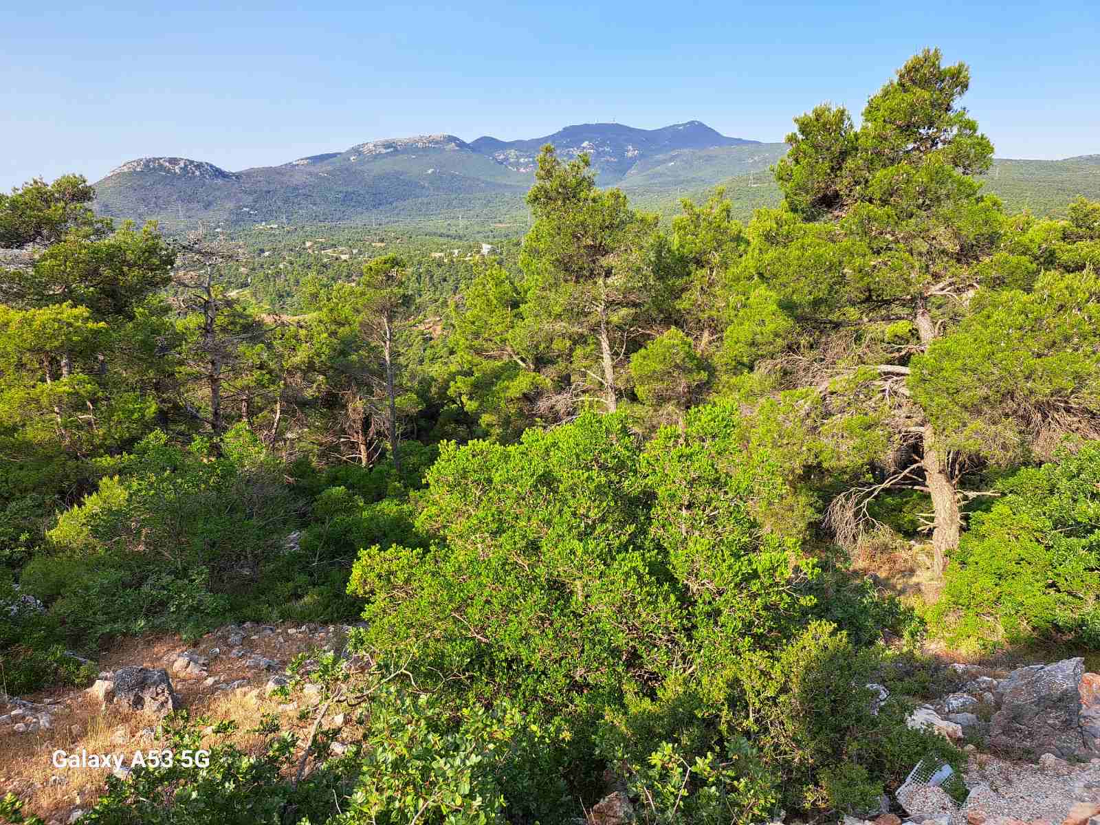 Πριν τον καθαρισμό
